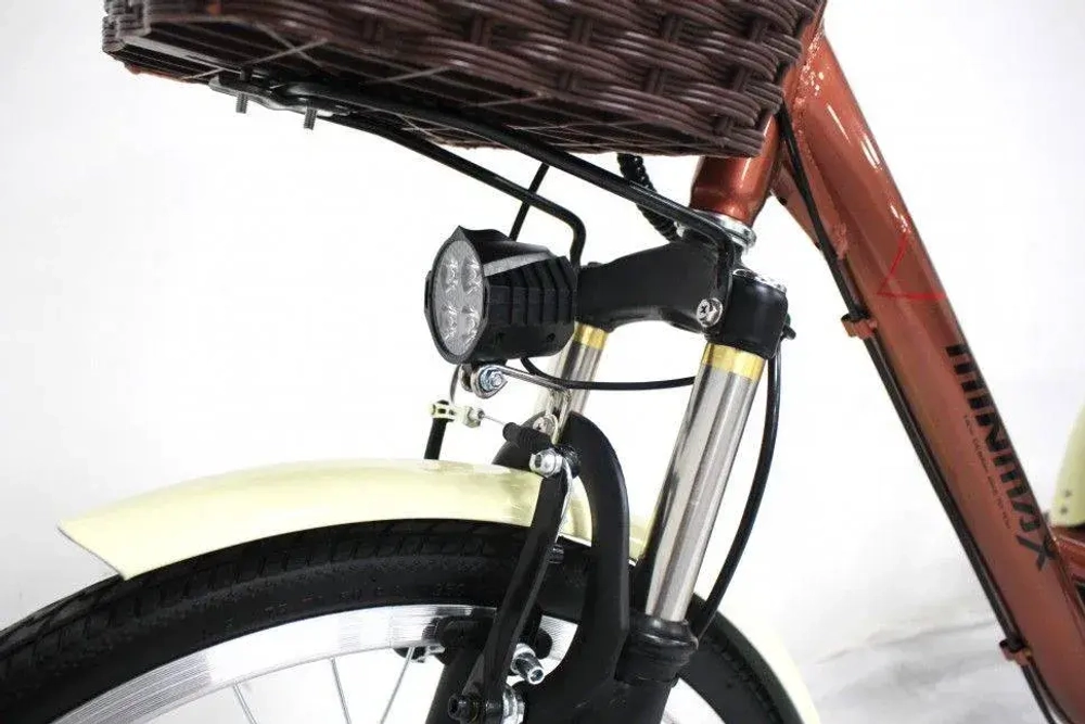 Электровелосипед Green Camel Трайк-24