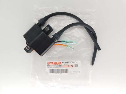 катушка зажигания Yamaha F15 F20 F25 F9.9 FT25 6F5-85570-13-00