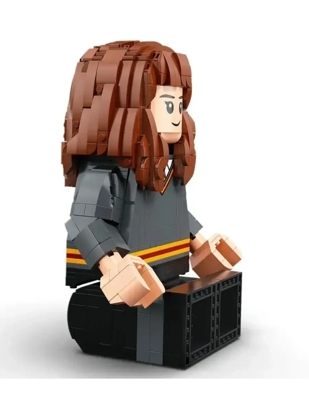 Конструктор Гарри Поттер и Гермиона Грейнджер 1673 дет 6057