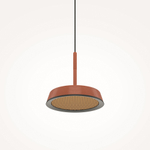 Подвесной светильник Maytoni MOD041PL-L15TR3K