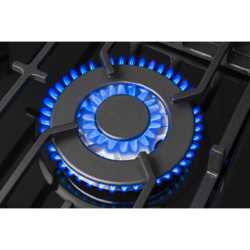 Газовая панель Hansa BHGS611391