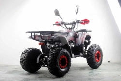 Квадроцикл MOTAX ATV Grizlik Premium 125cc