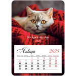 Календарь отрывной на магните 95*135мм 2025г. "Мур-мур" (BG)