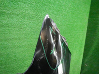 DSCN8910.JPG