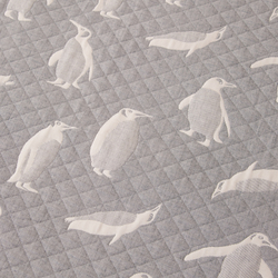 Покрывало двухстороннее и две наволочки Aurora Veil/Вуаль Авроры PAV001