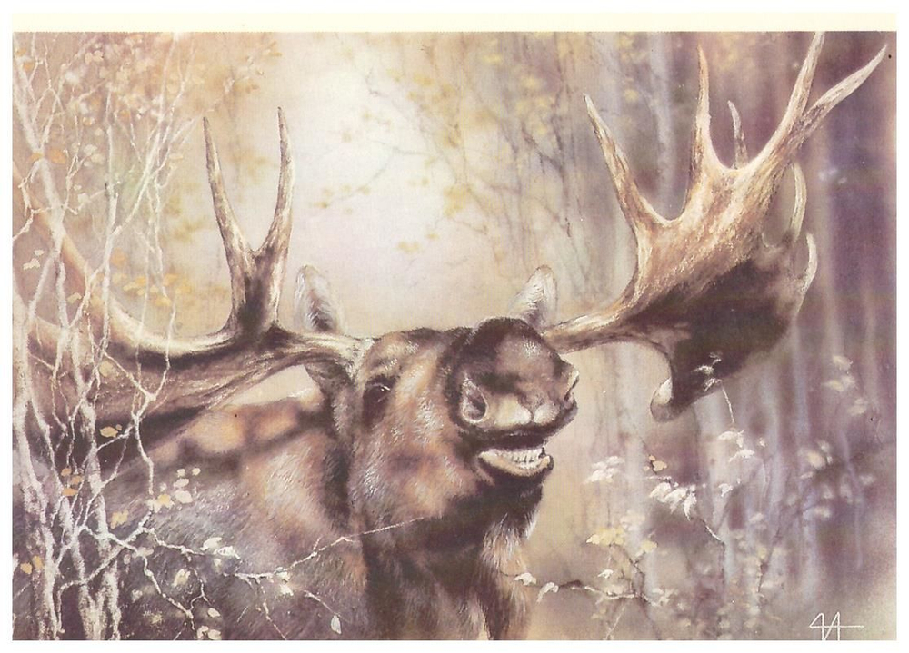 Почтовая открытка СССР "Лось" 1989 г.