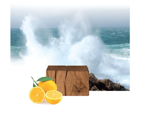 Mauboussin Pour Lui Time Out