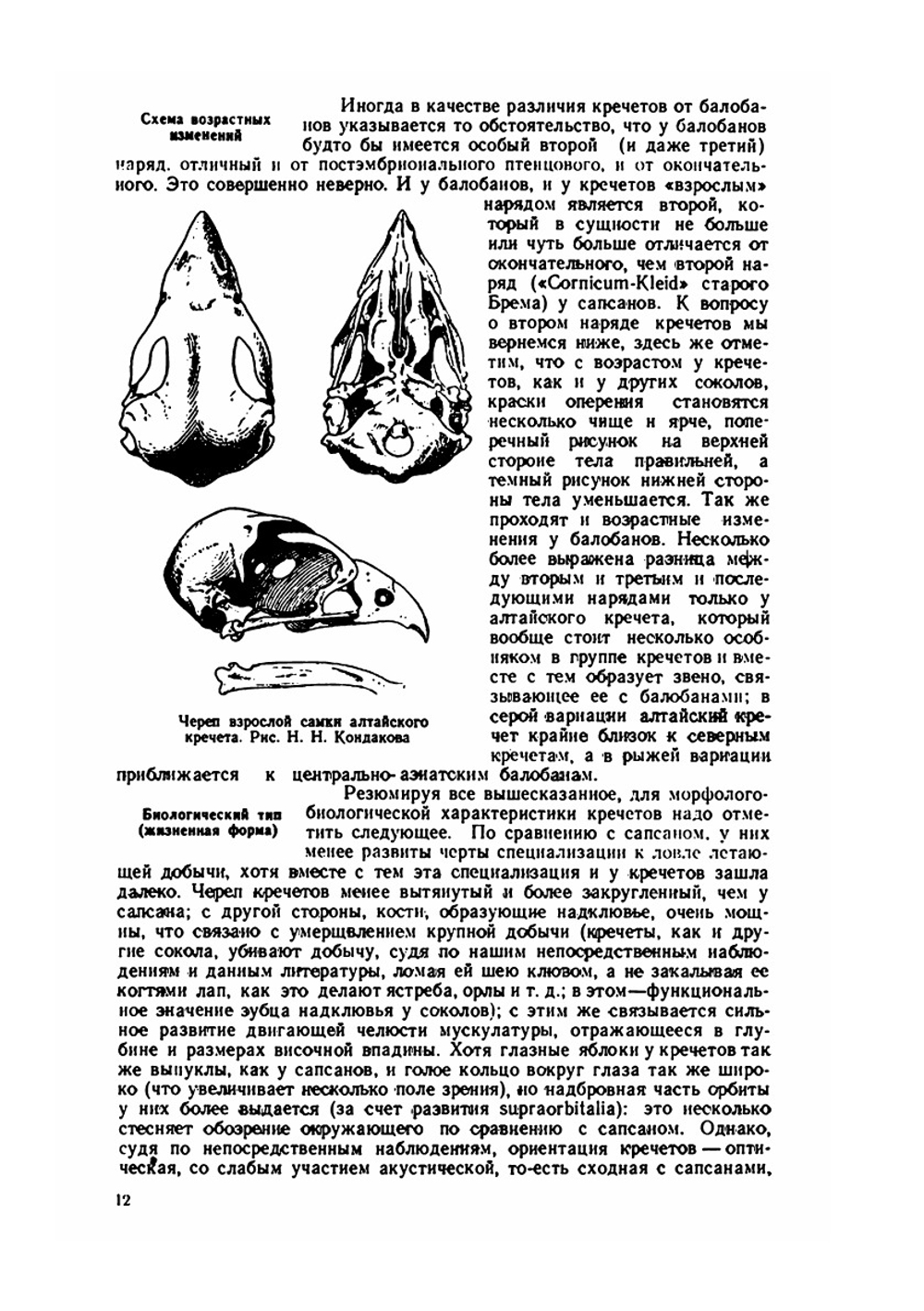Сокола-кречеты | Г. П. Дементьев