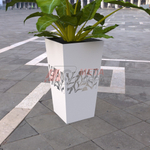 Вазон Прима