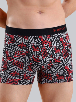 Классические боксеры