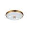 Потолочный светильник Odeon Light Walli Pelow 4956/4