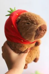 кафе с капибарами