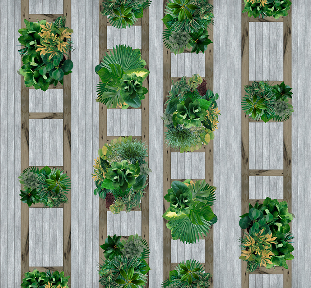 Коллекция GREENDAY