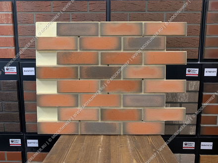 Клинкерная фасадная термопанель Регент ППУ Feldhaus Klinker R788NF9