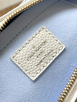 Louis Vuitton Speedy 20