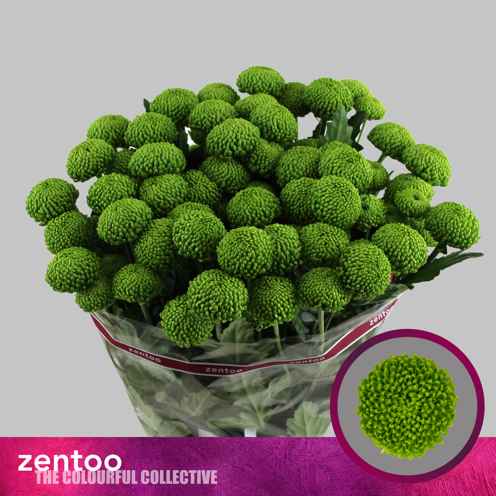 Deligreen (NL)