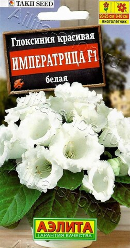 Глоксиния Императрица белая 4шт Аэлита