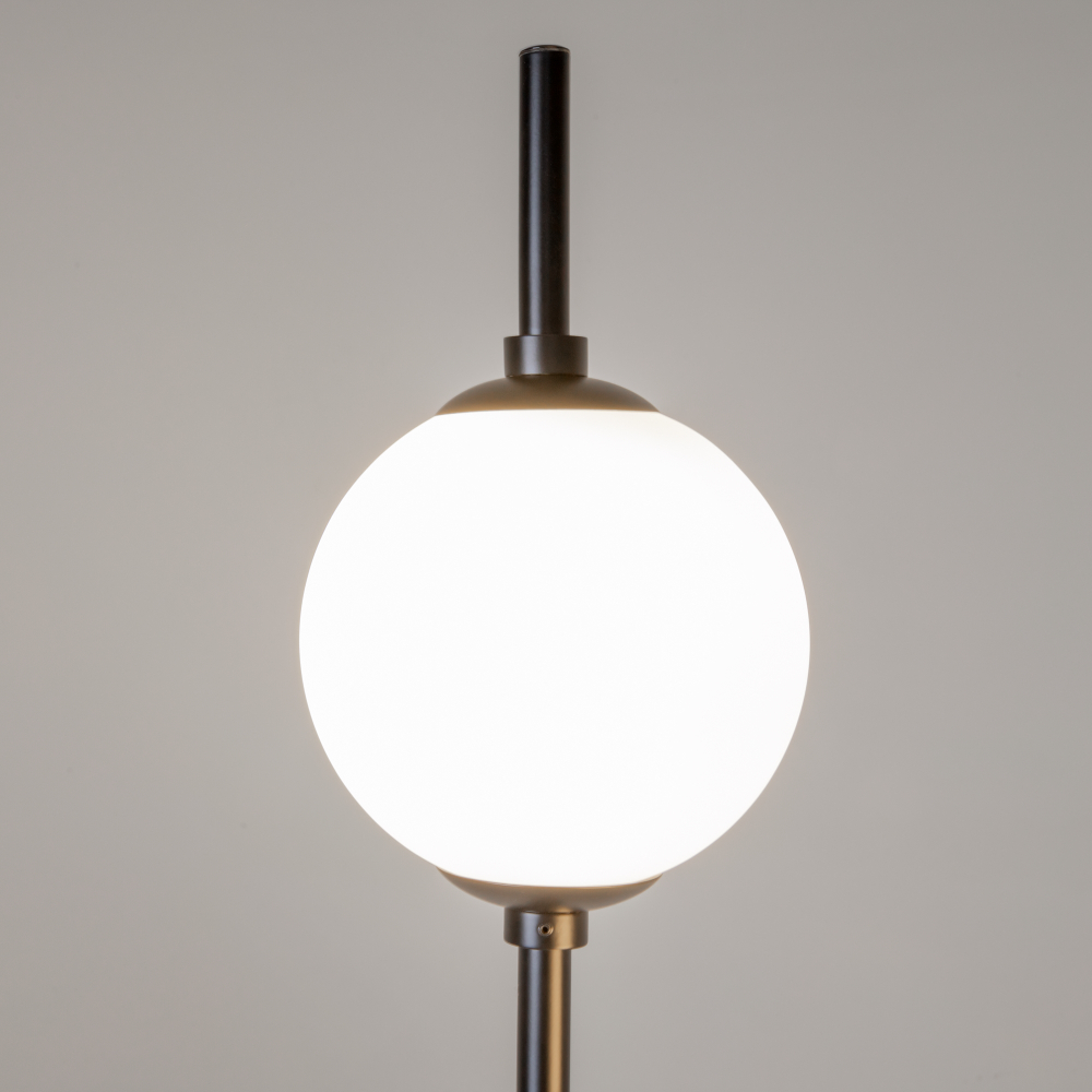 Напольный светильник (торшер) Maytoni Z020FL-L12BK