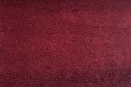 Коллекция Тэдди