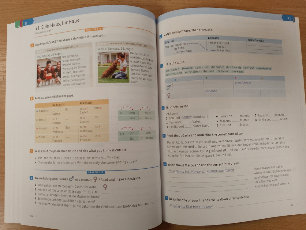 Grammatik leicht A1: Grammar & Practice