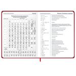 Дневник 1-11 класс 48 л., твердый, BRAUBERG, матовая ламинация, резинка, закладка-ляссе, с подсказом, "Мото", 107236