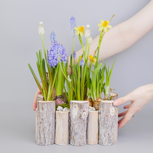 Композиция с первоцветами Брёвна M