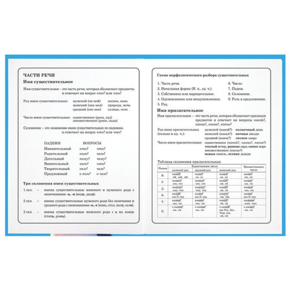 Дневник 1-4 класс 48 л., твердый, ЮНЛАНДИЯ, глянцевая ламинация, с подсказом, "Котик", 107147