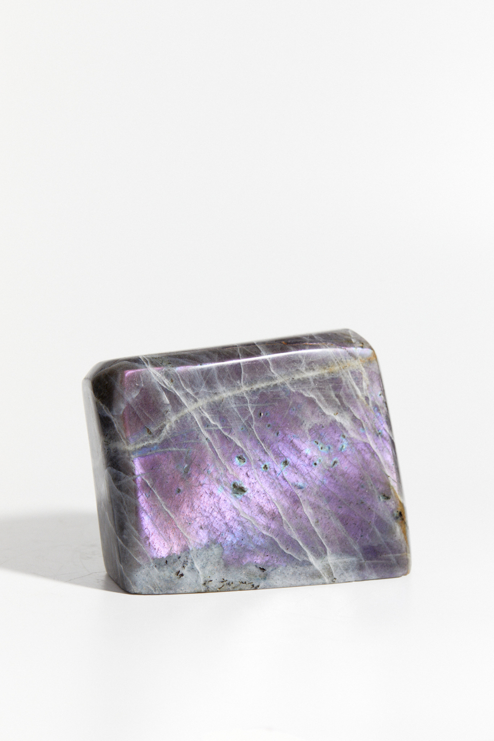 Срез Лабрадора L