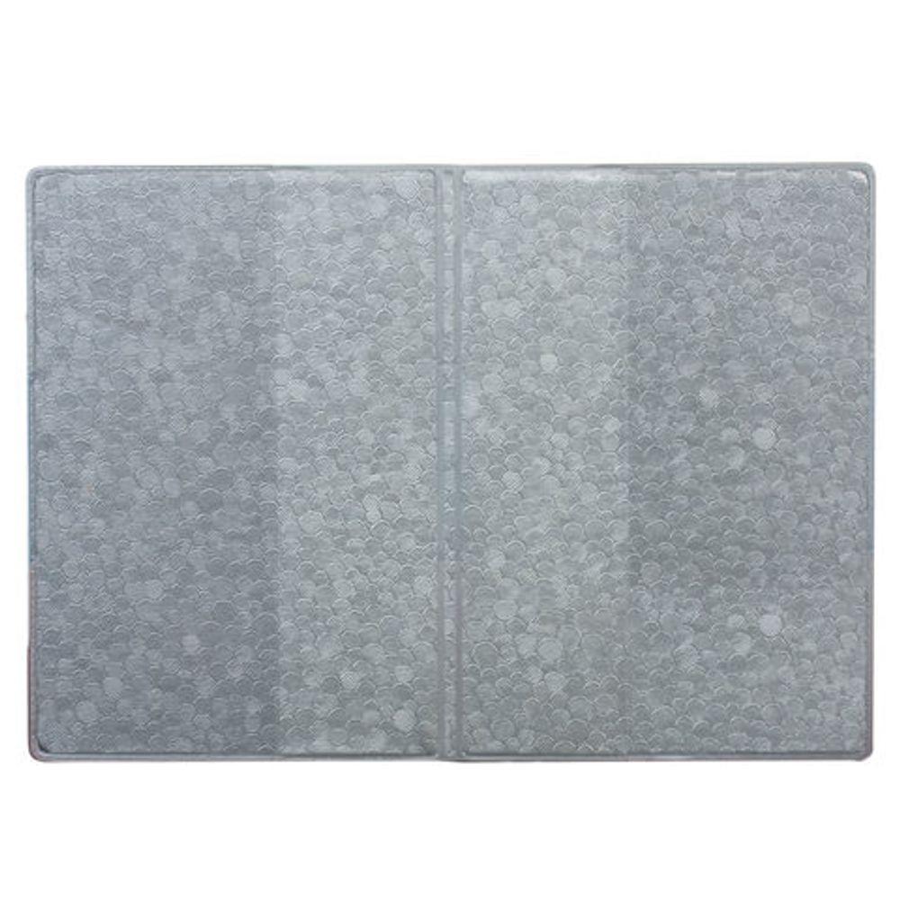 Обложка для паспорта с гербом "Триколор", ПВХ, цвета российского триколора, ДПС, 2203.Ф