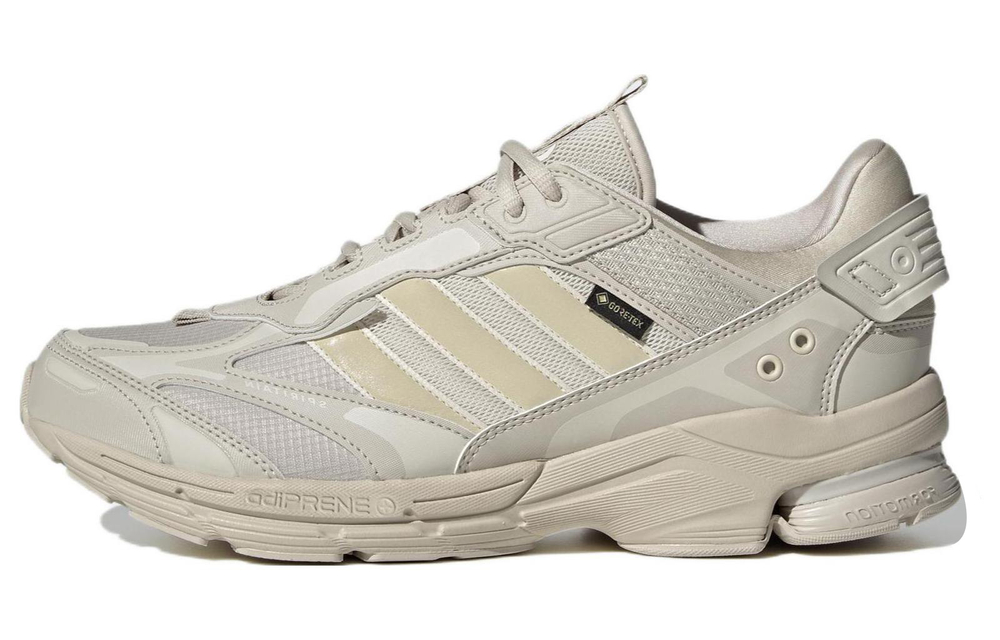 Кроссовки Adidas Spiritain 2000 Gore-Tex