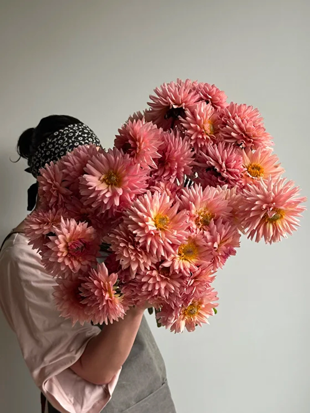 Георгин Preference (корень) Закупка М55 апрель 2026