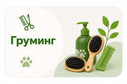 Груминг