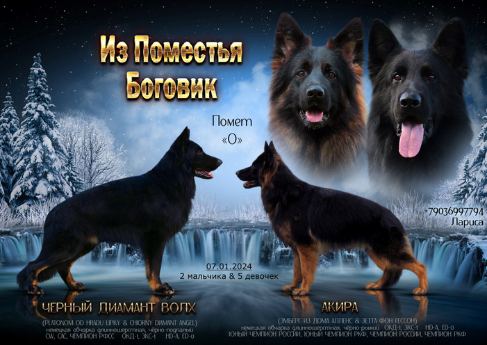 Помет "О"
