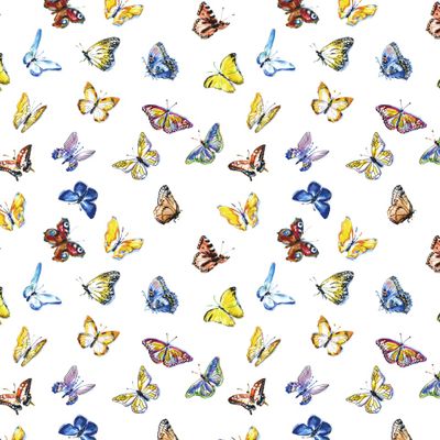 Бабочки акварель / Butterfly watercolor