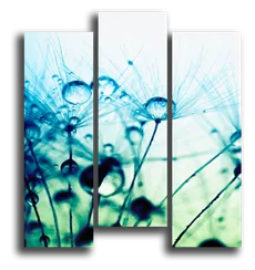 Модульная картина "Бирюзовые одуванчики"