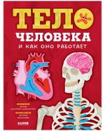 Любимая детская энциклопедия. Тело человека и как оно работает