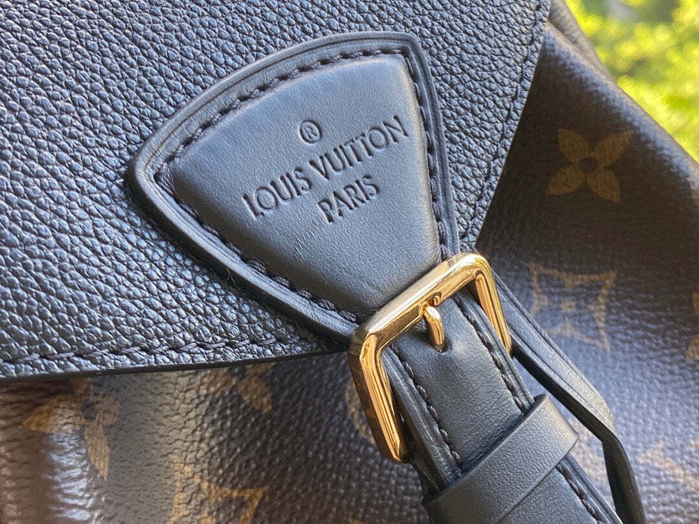 Louis Vuitton Montsouris Backpack PM