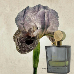 Aedes De Venustas Iris Nazarena