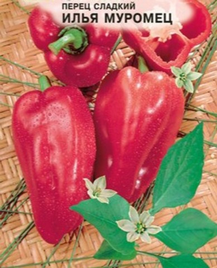 Перец Илья Муромец