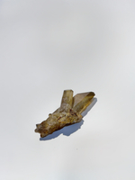 Цитрин кристалл необработанный