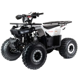 Квадроцикл Motoland 125 STORM