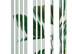 Коллекция GREENDAY 22