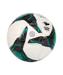 Мяч футзальный Superliga №4