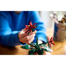 LEGO Botanicals - Вифлеемская звезда 10370