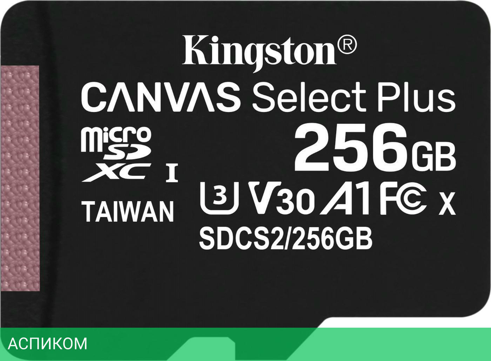 Карта памяти Kingston SDHC-micro 256GB (SDCS2/256GB)