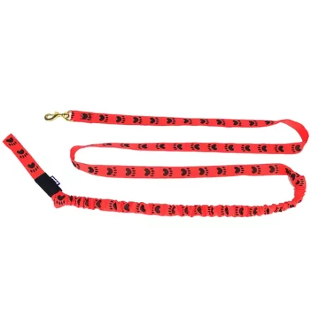 Потяг с амортизатором на одну собаку Лапки WhiteWolf