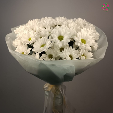 Букет из Хризантемы Чик
