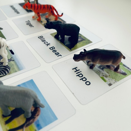 Safari. Cards and Toys