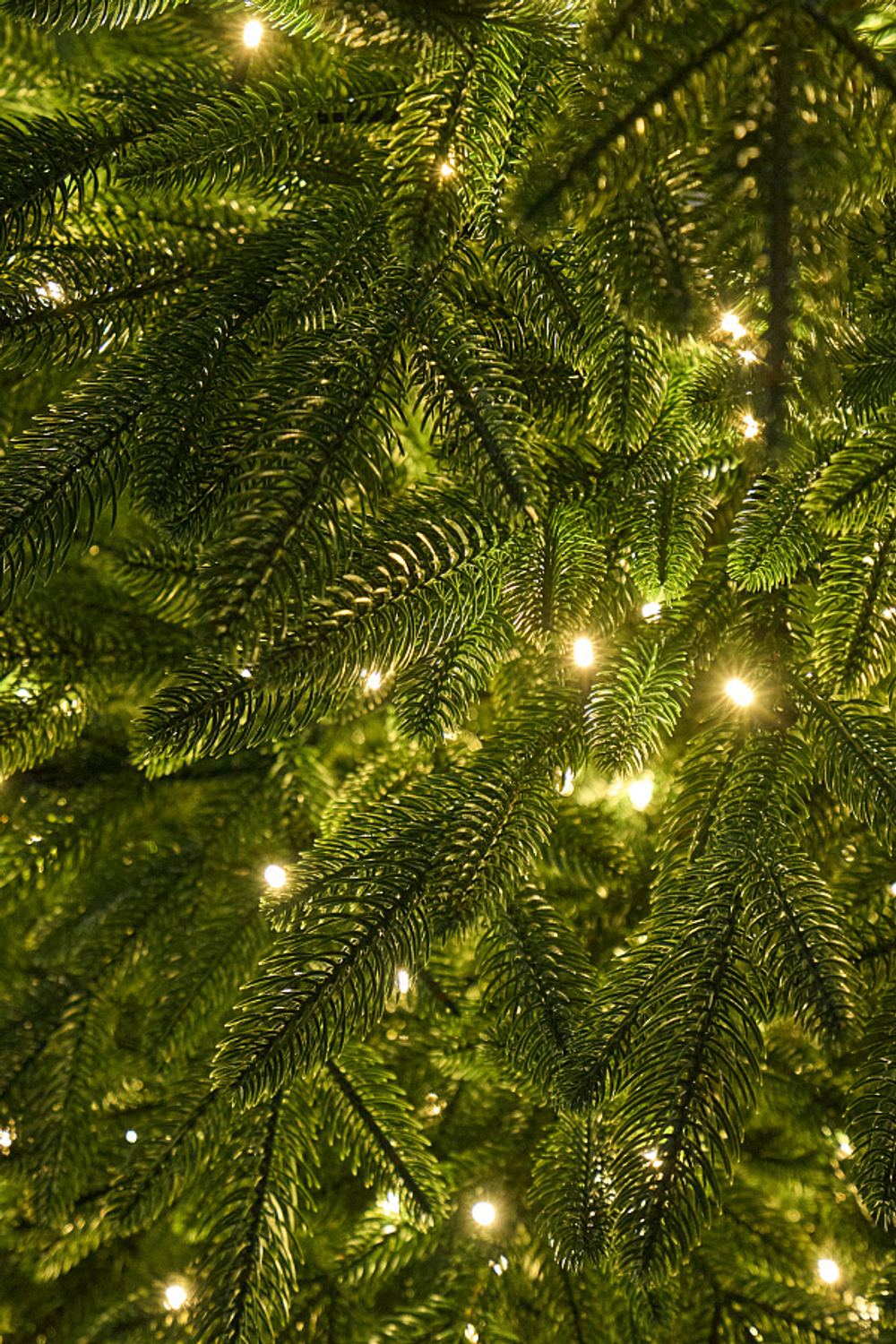 Ель искусственная с лампочками Самарская 1,8 м подставка металл 100% Литые веточки МаксКристмас