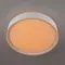 CL751250G BOSS Белый  LED Св-к с пультом